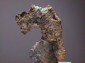 silver1